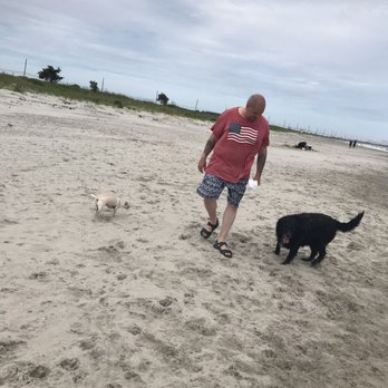 Longport Dog Beach - Tink and Mya with Dad - Beaches Near Me - Somers Point, New Jersey