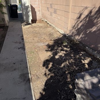 Delgado's Hauling - Left my side yard looking great again! - Junk Removal & Hauling Near Me