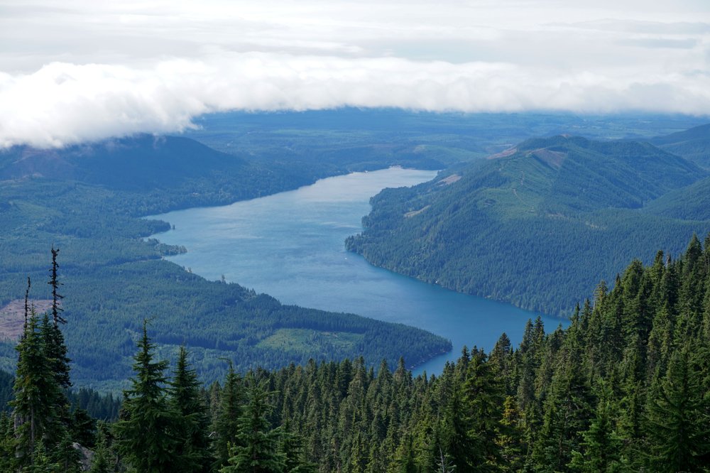 Mount Ellinor Logo