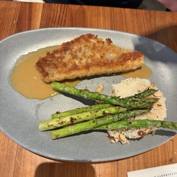 Tommy Bahama - Catch of the day - Seafood Near Me - Plano, Texas Tommy Bahama - Catch of the day - Seafood Near Me - Plano, Texas