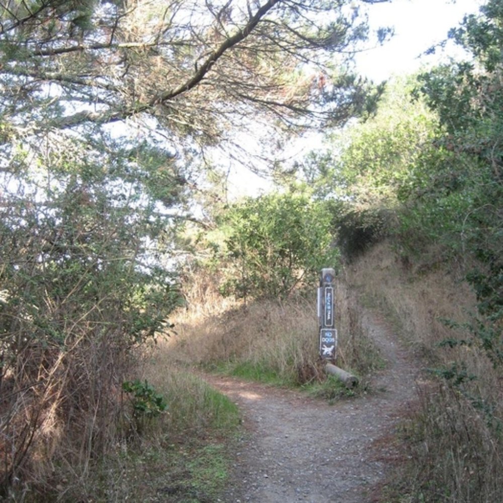 Junipero Serra Park - de anza trailhead - Parks Near Me - San Bruno, California Junipero Serra Park - de anza trailhead - Parks Near Me - San Bruno, California