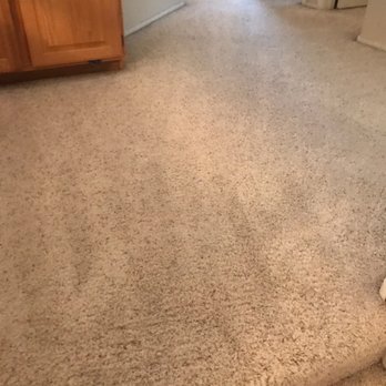 Carpet Monkey - Carpet Cleaning Near Me