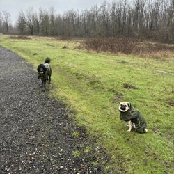 Sandy River Delta Park