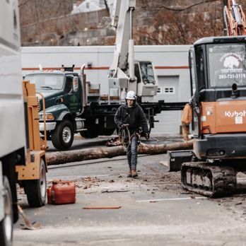 Litchfield County Tree Service - Tree Services Near Me