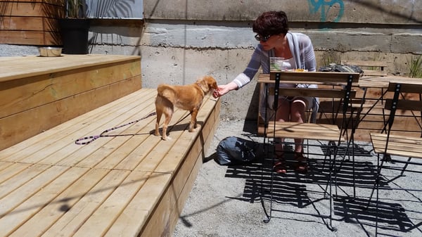 Stillwell Beergarden by null