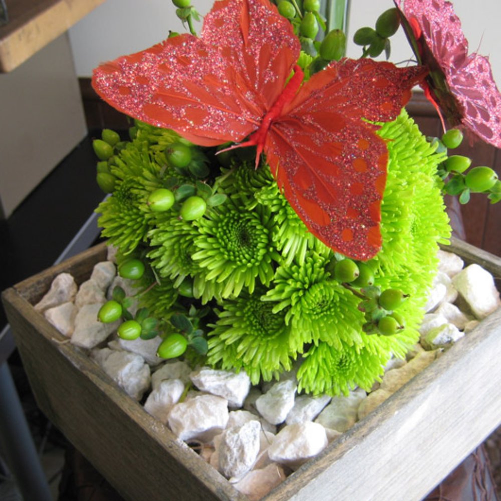 French Florist - Florists Near Me - El Segundo, California French Florist - Florists Near Me - El Segundo, California