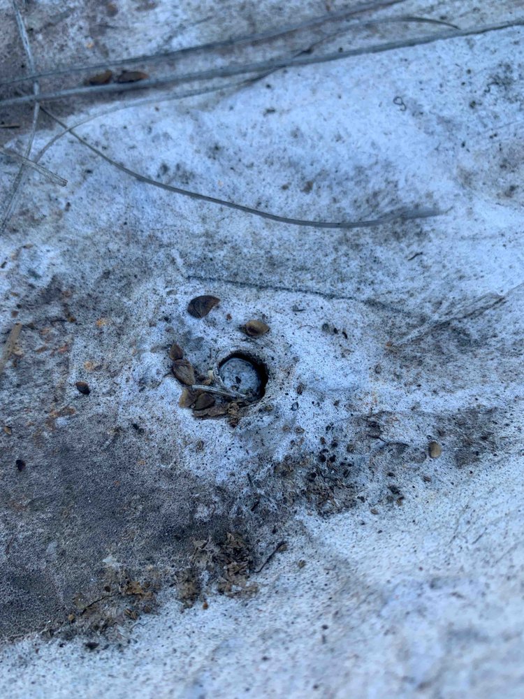 Slide of Tyler Roof Repair