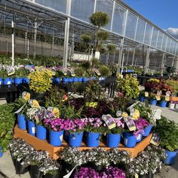 Stauffers of Kissel Hill Home & Garden - Spring is Here!!