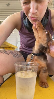MUTTS Canine Cantina® by null