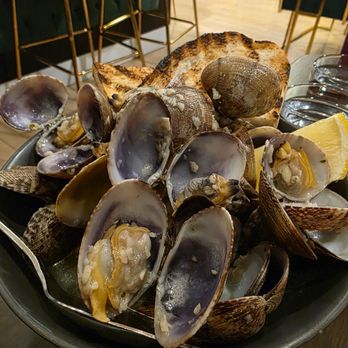 Puerta del Sol - Clams - Tapas/Small Plates Near Me - San Jose, California Puerta del Sol - Clams - Tapas/Small Plates Near Me - San Jose, California