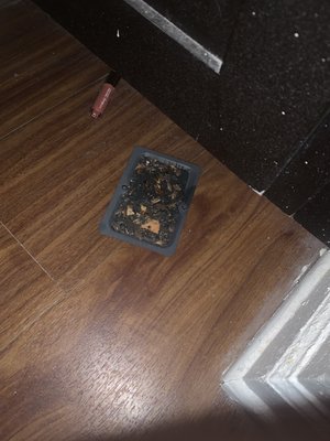 The Livingston by null