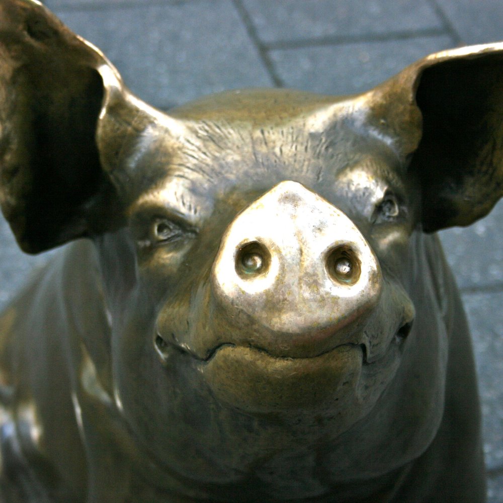 The Mall's Pigs - Horatio - Local Flavor Near Me - Adelaide, SA