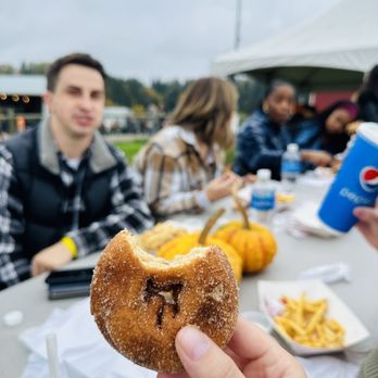 Bob's Corn & Pumpkin Farm - Apple cider donuts (they have pumpkin as well) - Pumpkin Patches Near Me - Snohomish, Washington