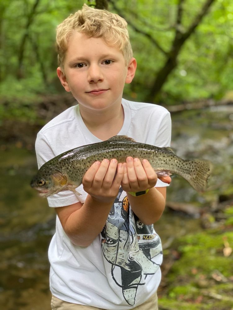 Otter Creek Trout Farm Logo