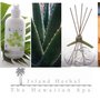 Photo of Island Herbal