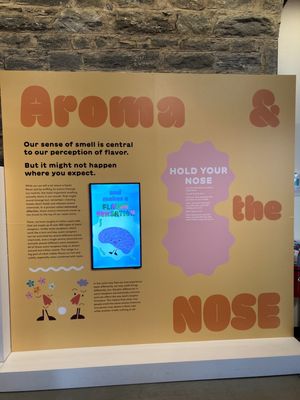 Museum of Food and Drink (MOFAD) by null