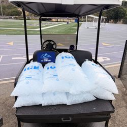 Downey Ice Company