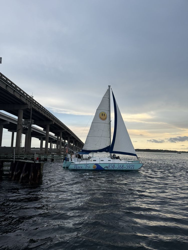 Destin's Original Sea Blaster Dolphin Tours