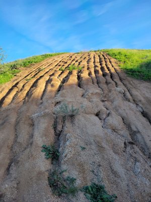 Sycamore Canyon Wilderness Park by null