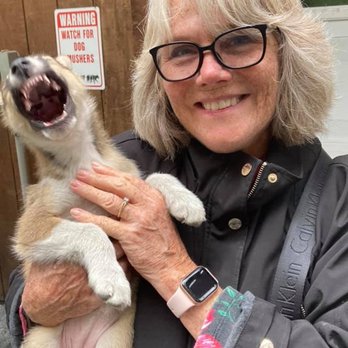 Seavey's IdidaRide Dog Sled Tours - Tours Near Me - Seward, Alaska Seavey's IdidaRide Dog Sled Tours - Tours Near Me - Seward, Alaska