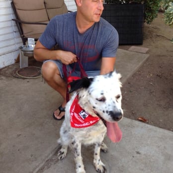 The Barking Lot - Animal Shelters Near Me - Ramona, California