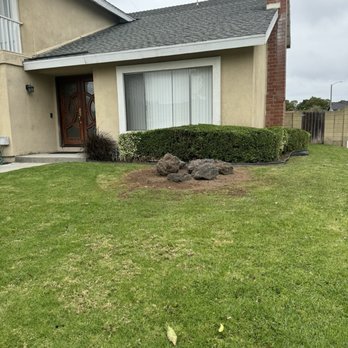 Acevedo Tree Service - Cleaned palm tree area - Tree Services Near Me - Los Angeles, California Acevedo Tree Service - Cleaned palm tree area - Tree Services Near Me - Los Angeles, California