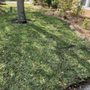 Photo of Big 3 Lawn Care
