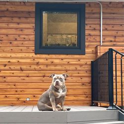 JR Brothers Construction & Remodeling - Cedar siding, black Hardie plank borders