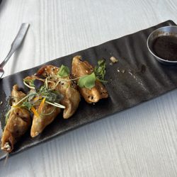 Terrasse le 419-Vieux Port - Wagyu dumplings