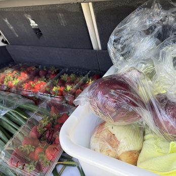 Byron Growers - Pick Your Own Farms Near Me - Byron, California