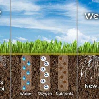 Rain or Shine - before and after - Lawn Services Near Me Rain or Shine - before and after - Lawn Services Near Me