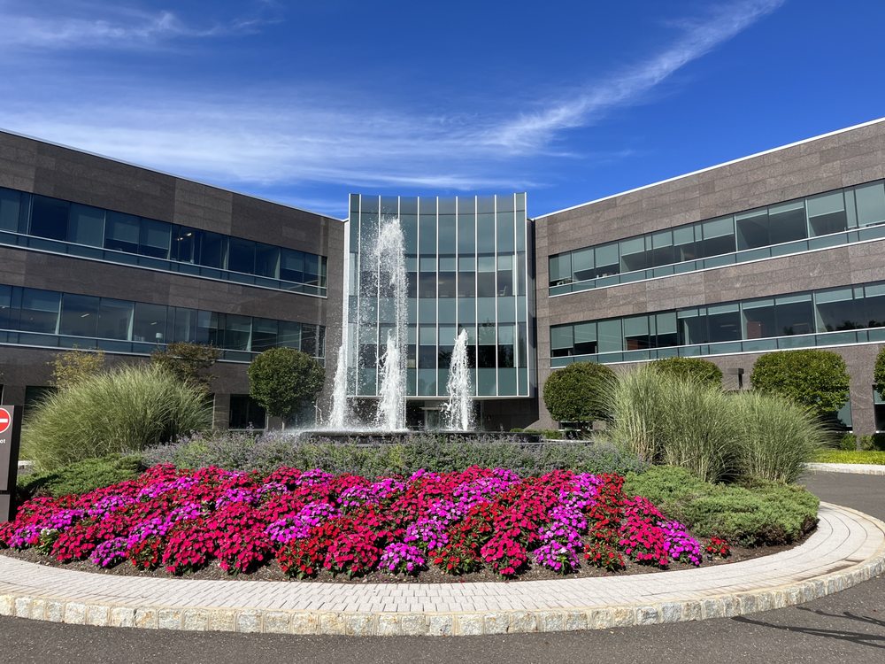 Dynamic Inspections - mold inspector in Princeton, NJ