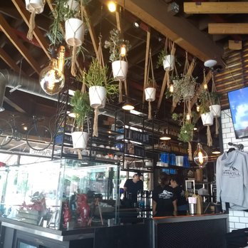 Fratelli Cafe - cute plants hanging from the ceiling - Coffee & Tea Near Me - Los Angeles, California