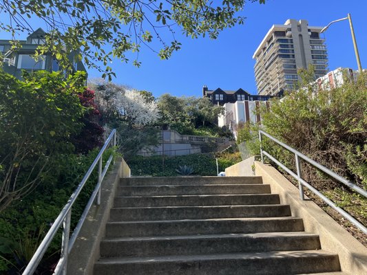 Vallejo Steps by null