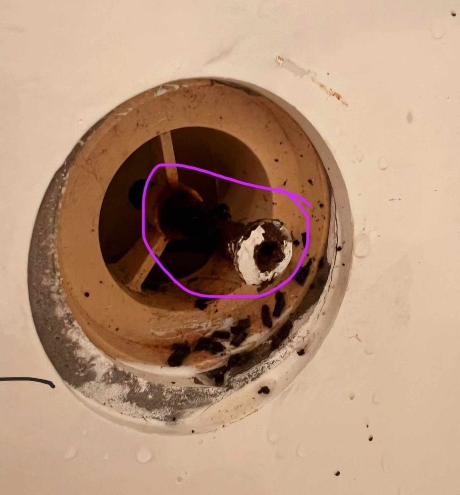 Biven's Drain Cleaning & Service - septic in Pearl City, HI