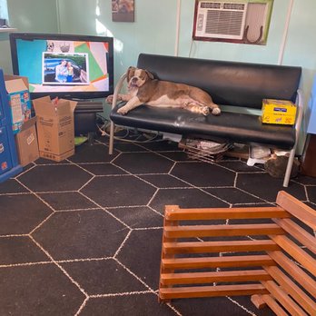 Wiedmann Auto - So tired.. shop dog - Auto Repair Near Me - Lewes, Delaware Wiedmann Auto - So tired.. shop dog - Auto Repair Near Me - Lewes, Delaware