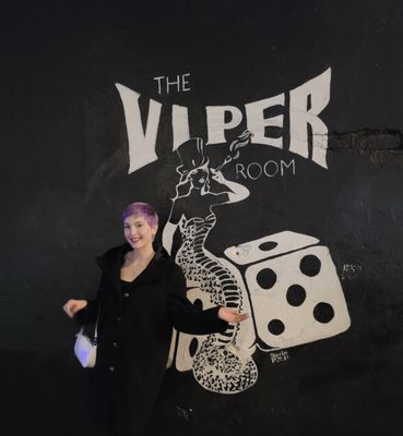 The Viper Room by null