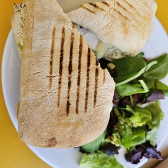 Yellow Vase - Chicken Panini - Bakeries Near Me - Redondo Beach, California Yellow Vase - Chicken Panini - Bakeries Near Me - Redondo Beach, California