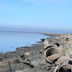 Shoreline Trail Fremont