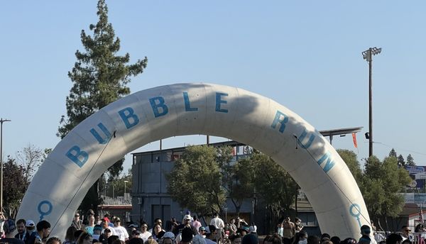 @the Grounds by null