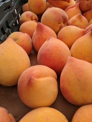Temescal Farmer's Market by null