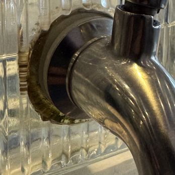 Venus Cafe - Moldy water - Cafes Near Me - Kent, Washington