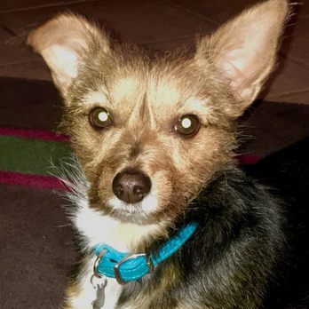 Star Nursery - My handsome boy - Nurseries & Gardening Near Me - Las Vegas, Nevada