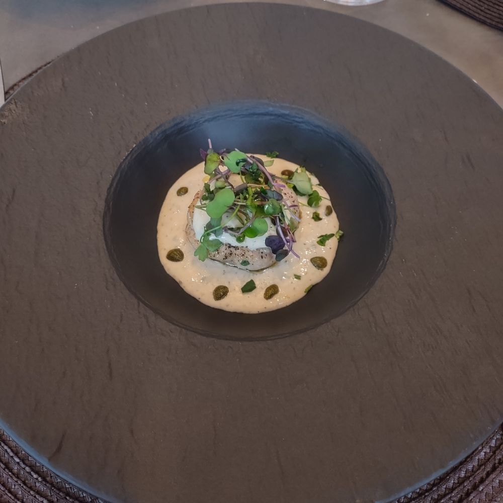 Giordi - Tonnata - tuna, egg, anchovy, mayo, capers - Modern European Near Me - Stuart, Florida Giordi - Tonnata - tuna, egg, anchovy, mayo, capers - Modern European Near Me - Stuart, Florida