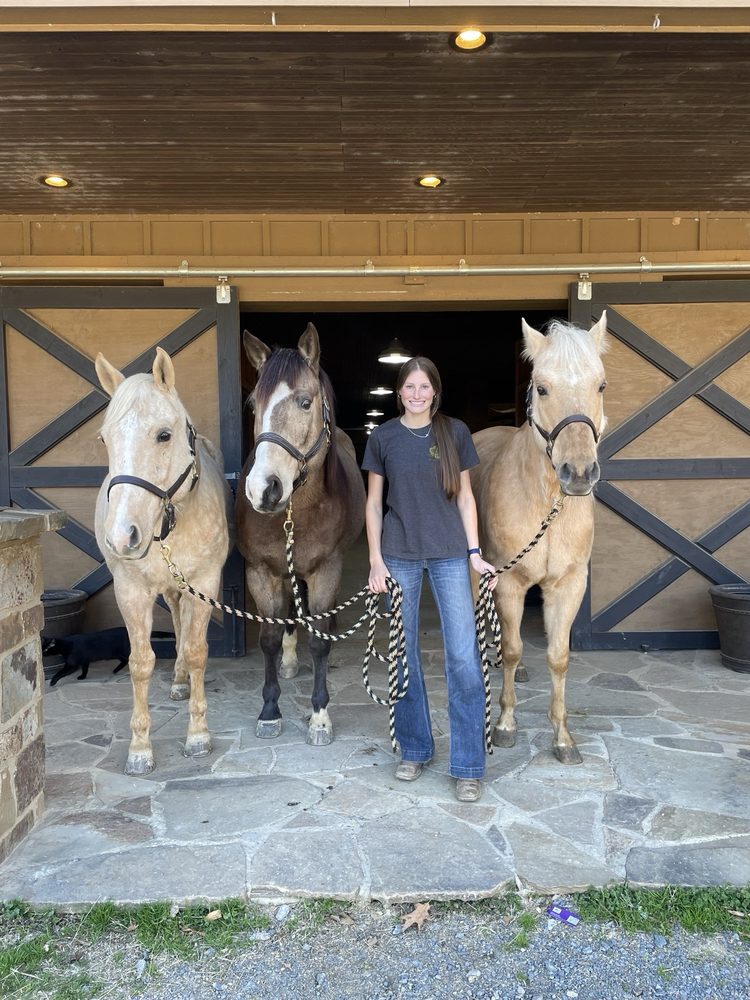 Simon Horse Company - equestrian in Randolph, MN