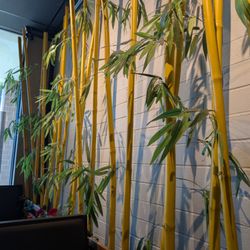 Asian Harbor - Welcome to the bamboo jungle
