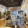 Photo of The Dragonfly Gallery