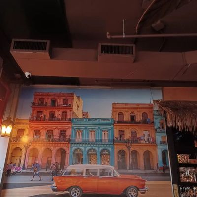 La Bella Havana by null