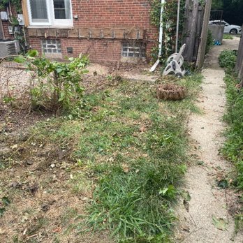 Demolition and Junk Solutions - Junk Removal & Hauling Near Me - Chicago, Illinois Demolition and Junk Solutions - Junk Removal & Hauling Near Me - Chicago, Illinois
