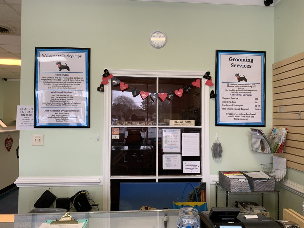 LUCKY PUPS PET WASH 40 Photos & 20 Reviews 3916 Portsmouth Blvd